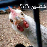 طًًحًًًوًًًمًًًمًًًمًًًً