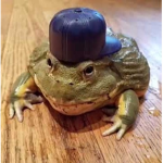 BobbyFrogs