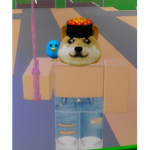DogE_plays