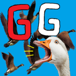 Goofy Geese