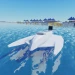 Powerboat Project icon