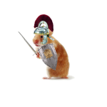 Rats Resistance