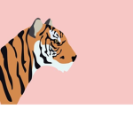-ʟᴀʏs ᴄʟᴏsᴇᴛ-