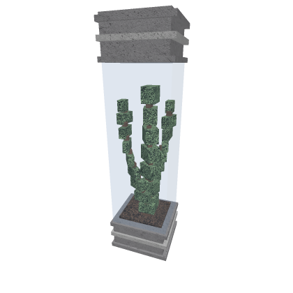Indoor Tree
