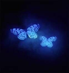buttérflys