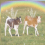 *-Kawaii Cows-*