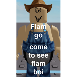 Come to see flamingo