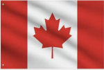 The Canadian Leafs