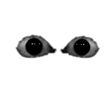 Horror eyes Roblox decal
