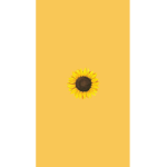 Sun Squad the best