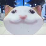 POP CAT CITY