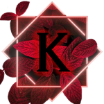 Kinsen Private High School