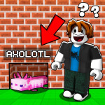Find The Axolotl ! 🗺️