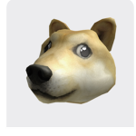ScccAmmet