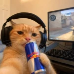 Redbull Studio Group Thumbnail