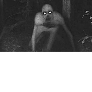 The Rake Horror Game