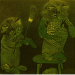 Lime Cats