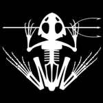 Froschmänner