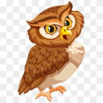 MR OWLS GROUP