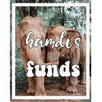 hamdi’s funds