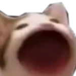 Pop armyyyyyyyyyyyyyyyyyyyy