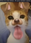 L E V #######