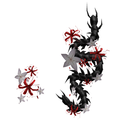 Japanese Spider Lily Black Centipede Front