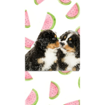 xwatermelxn_dxgosx