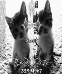 Xxavix!Mrtw