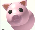 DonateDog