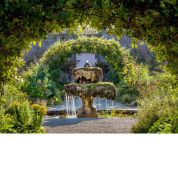 The plant Garden