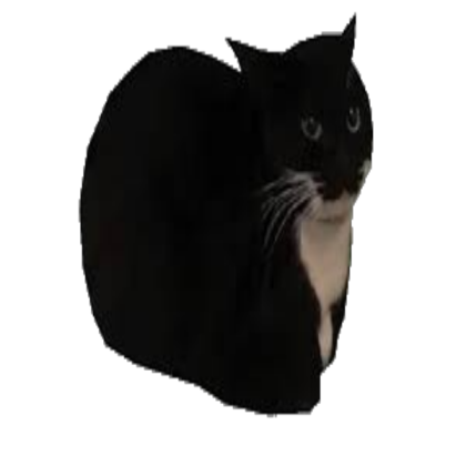 Maxwell the cat Roblox decal