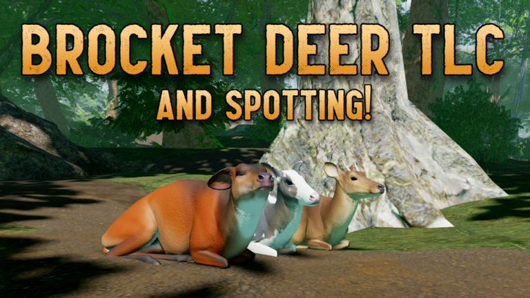 Brocket Deer TLC 🌿