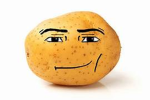 brotato chip studios
