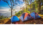 Camp RP!