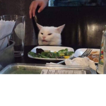 Cat group uwu