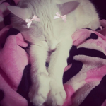 camsqrz'