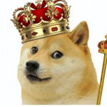The doges council