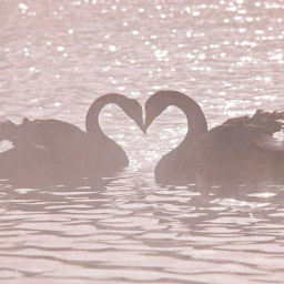 ♡