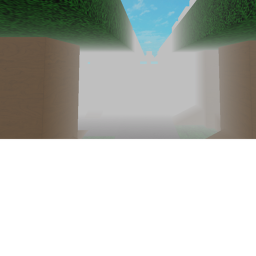 Woods in the sky