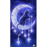 The Midnight panthers