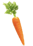 Slapping King’s Castle