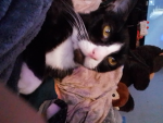 Binxy team