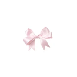 ˚ ꒷꒦︶ ‧ ˖ ˚・ icon