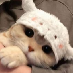 :3