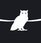 Owl Democracy