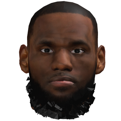 Lebron James Realistic Head 