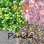 Foxi and Panda's colorful group