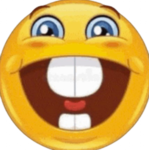 DingusBingus