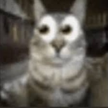 40%